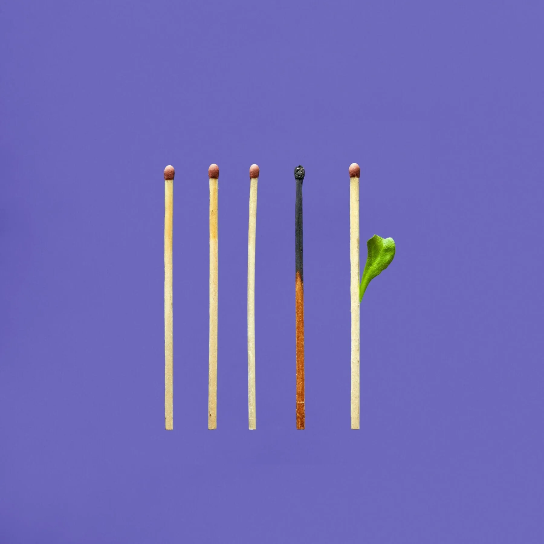 Why Nonprofit Workers Burn Out, and How to Prevent It