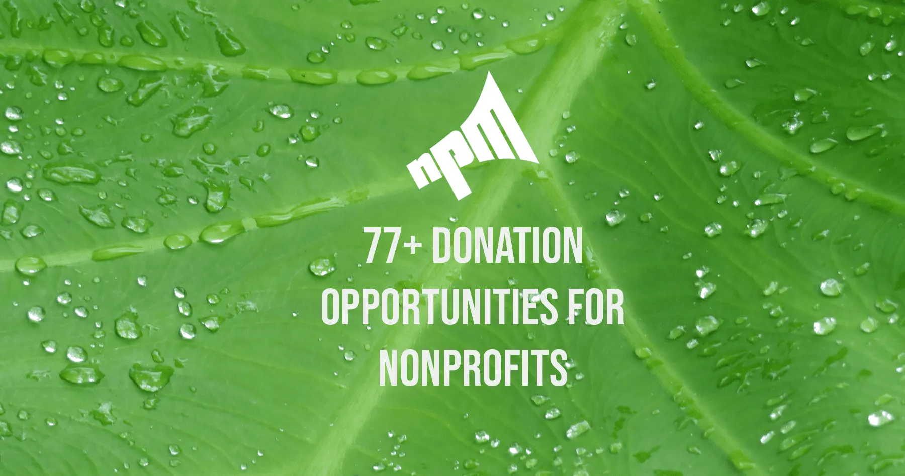 77+ Donation Opportunities for Nonprofits (And How to Apply)