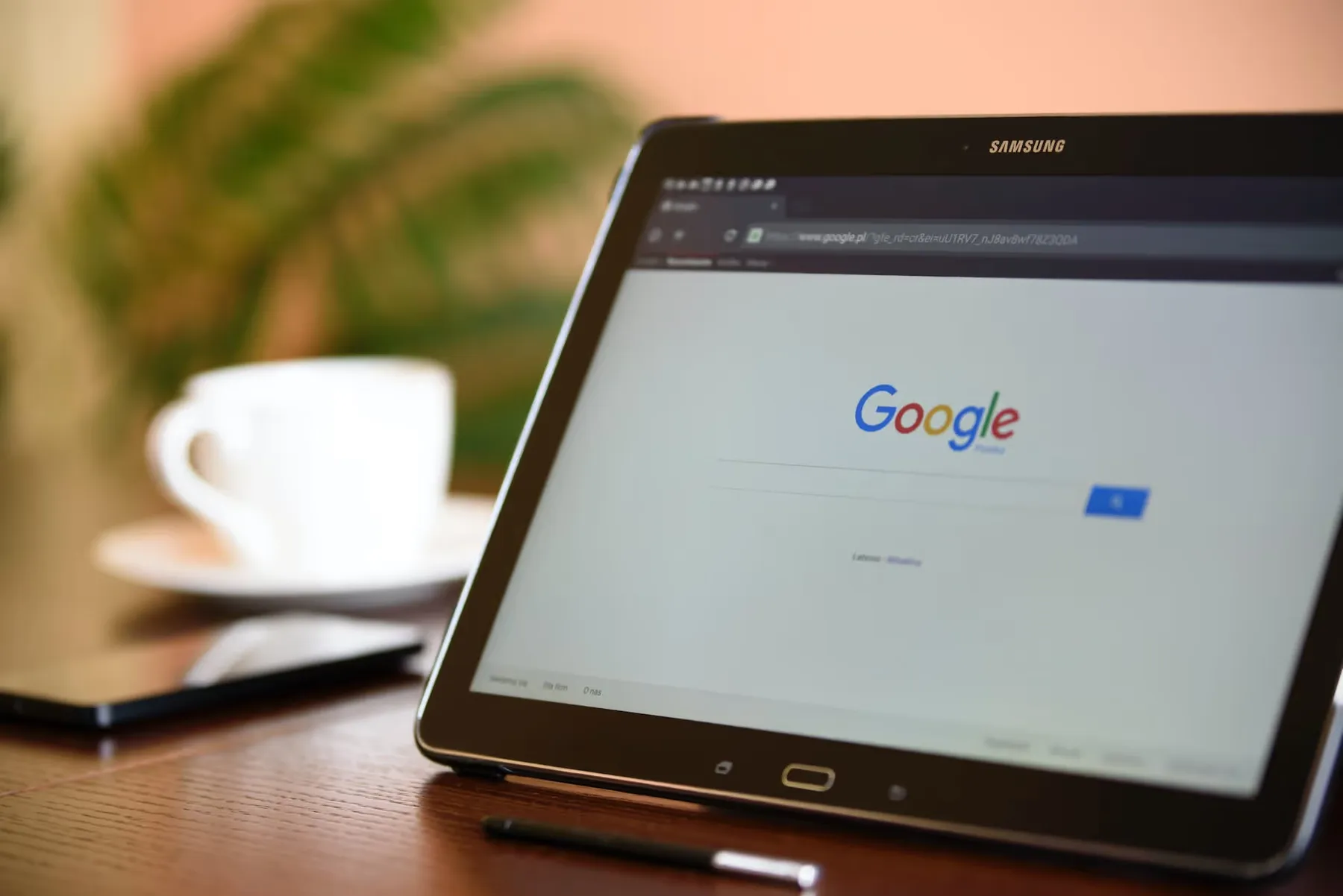 Google' Algorithm Update Impact: What Nonprofits Must Know