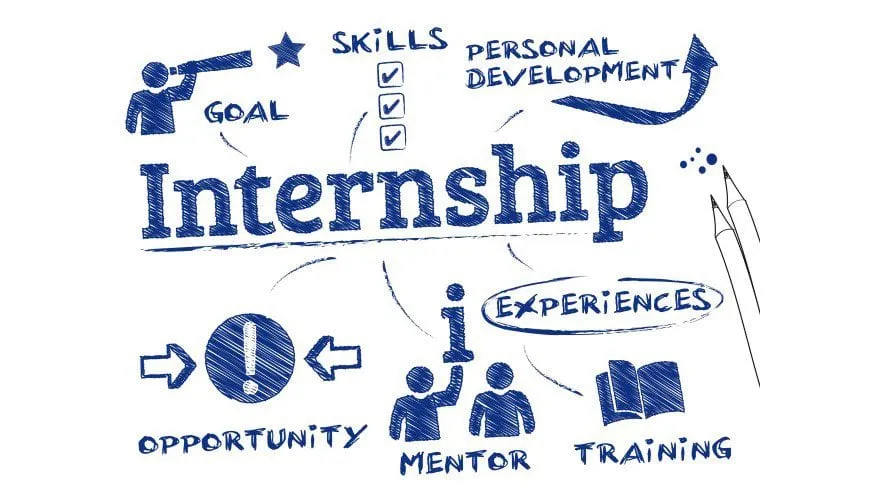 Nonprofit Internships: The Benefit of Unpaid Interns