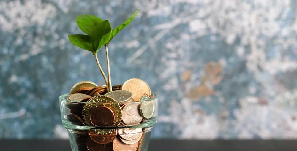 The Paycheck Protection Program for Nonprofits