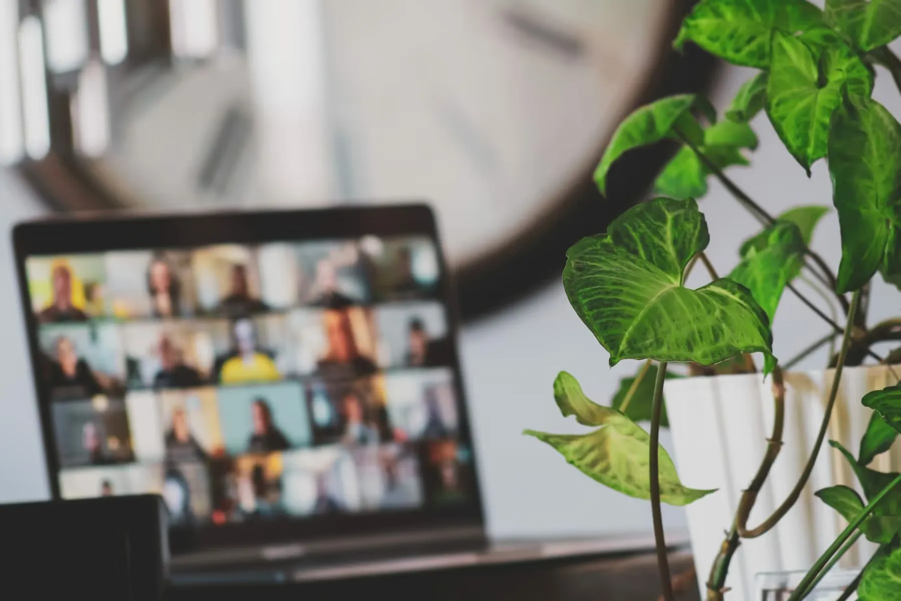 Nonprofit Programs: 10 Programs to Make Your Nonprofit More Effective