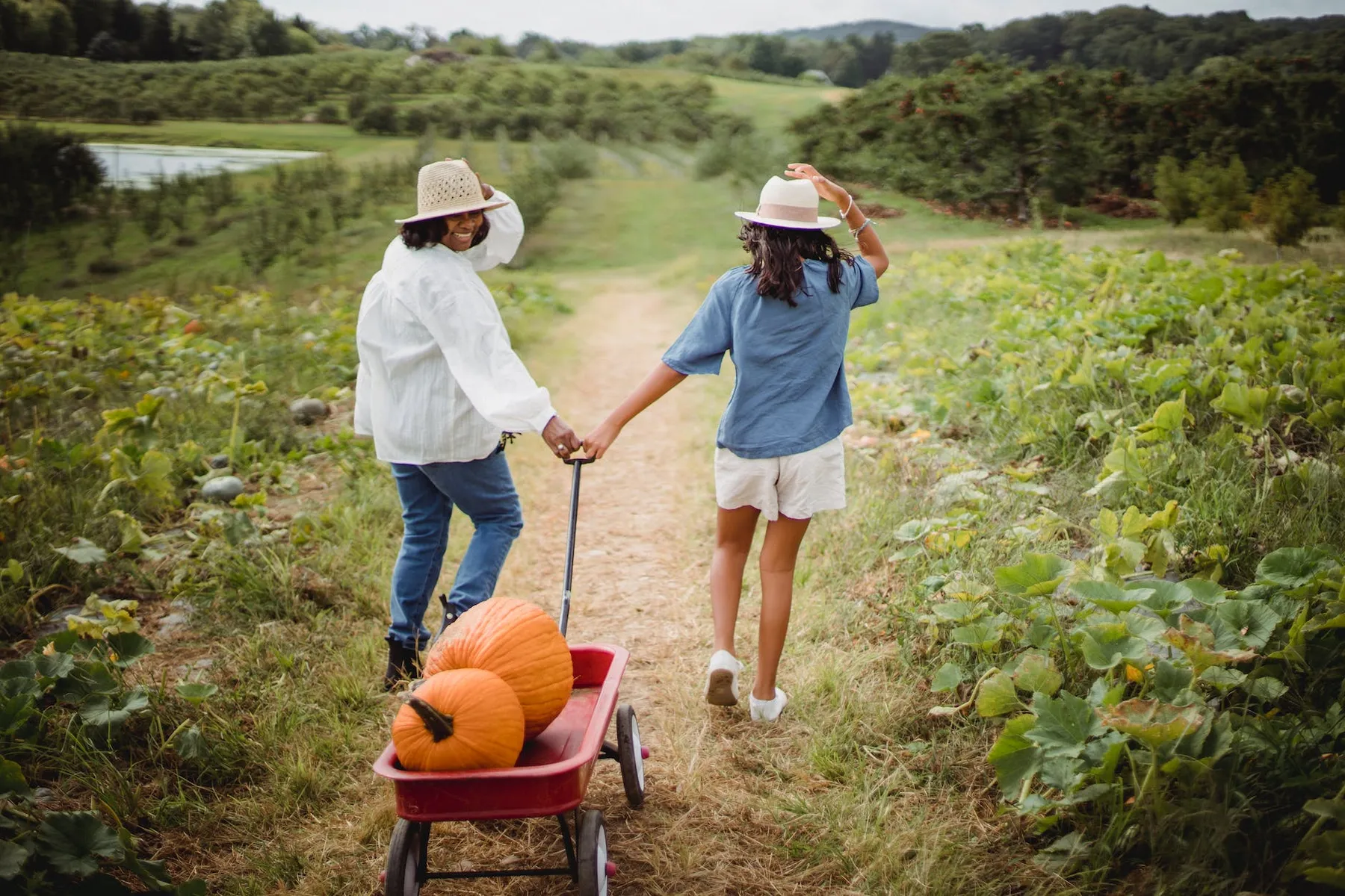 8 Fall Fundraising Ideas