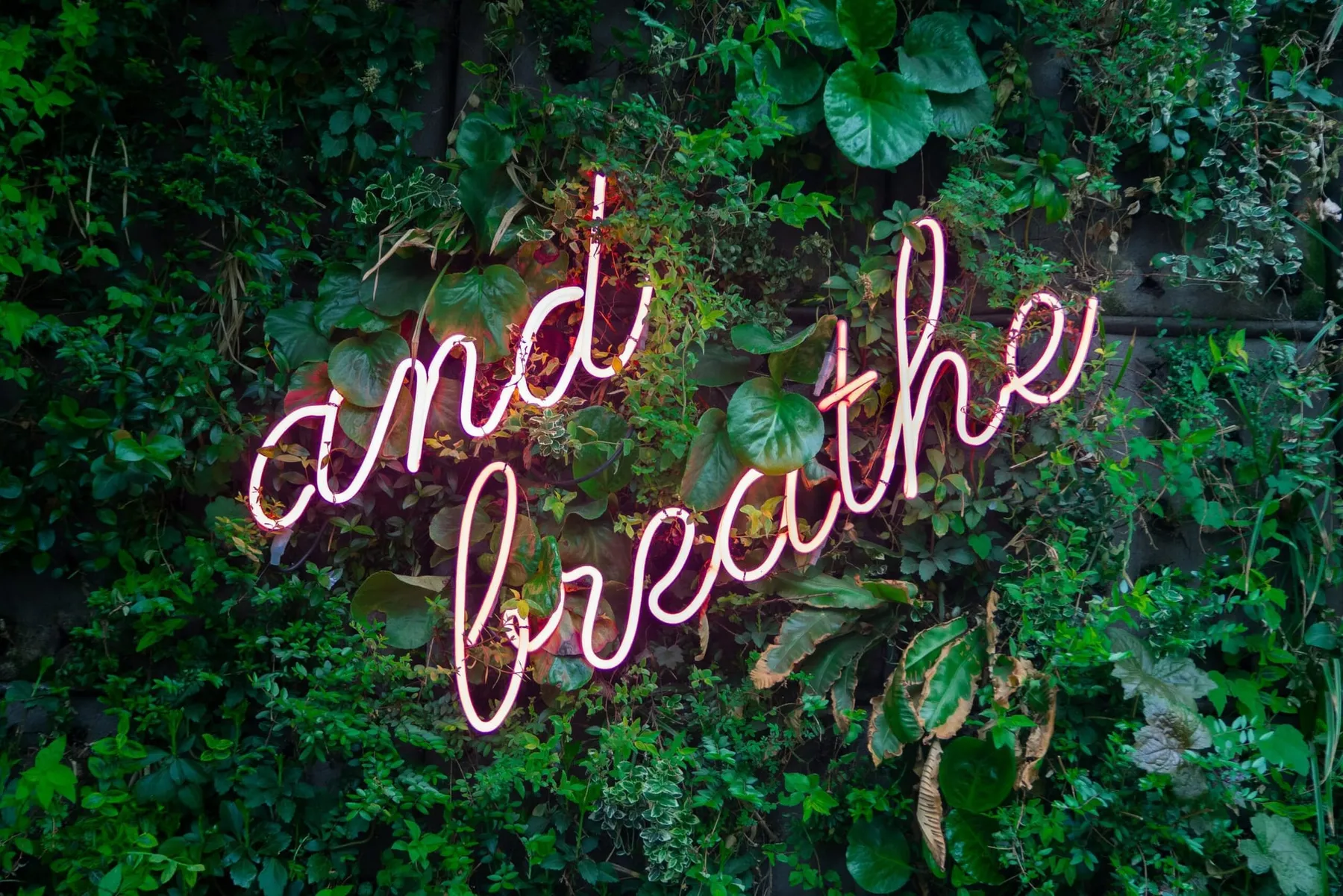 Practical Self Care for Nonprofit Workers: Three Simple Changes You Can Make