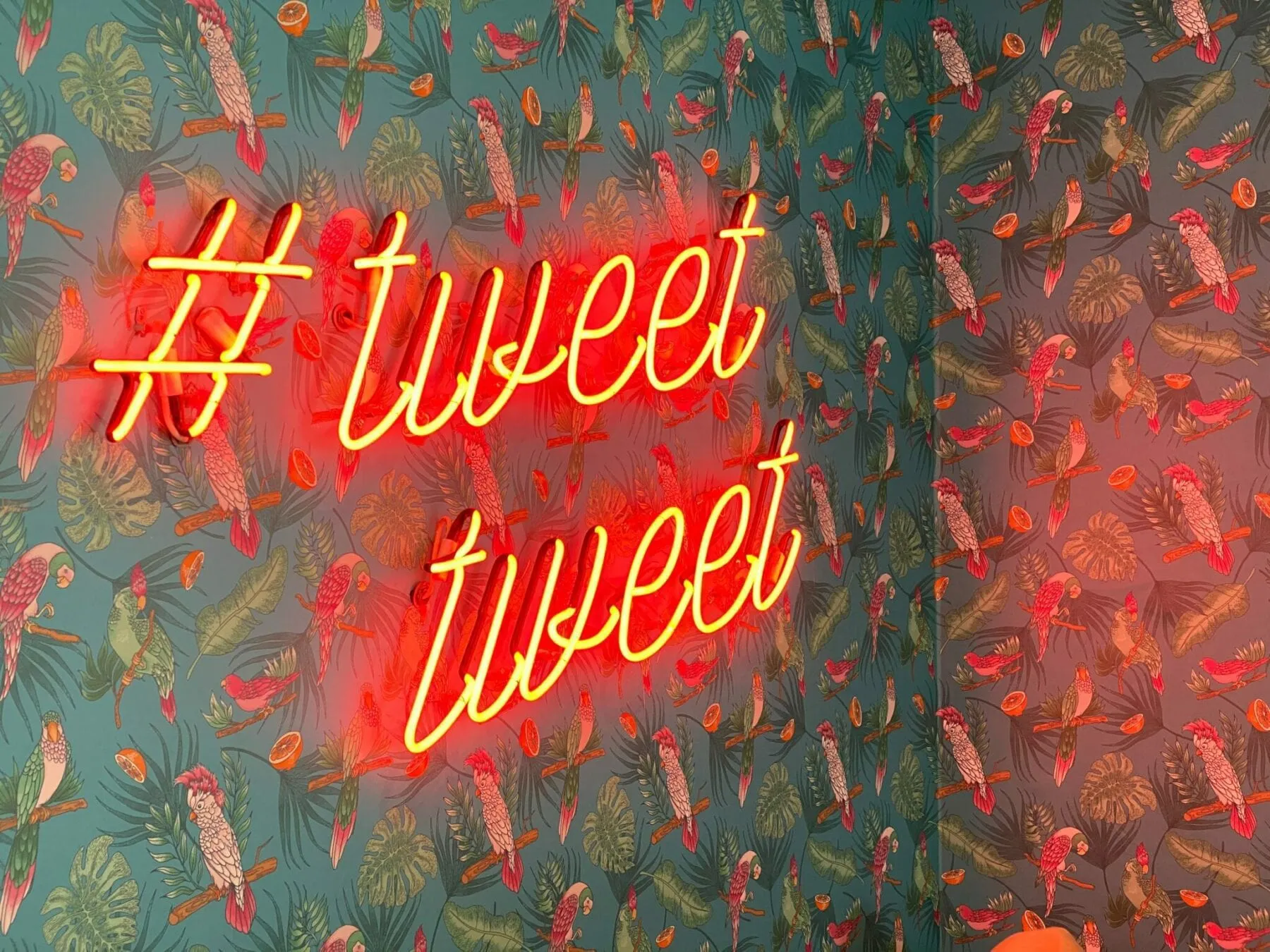 The Nonprofit’s Guide to Gaining Twitter Followers
